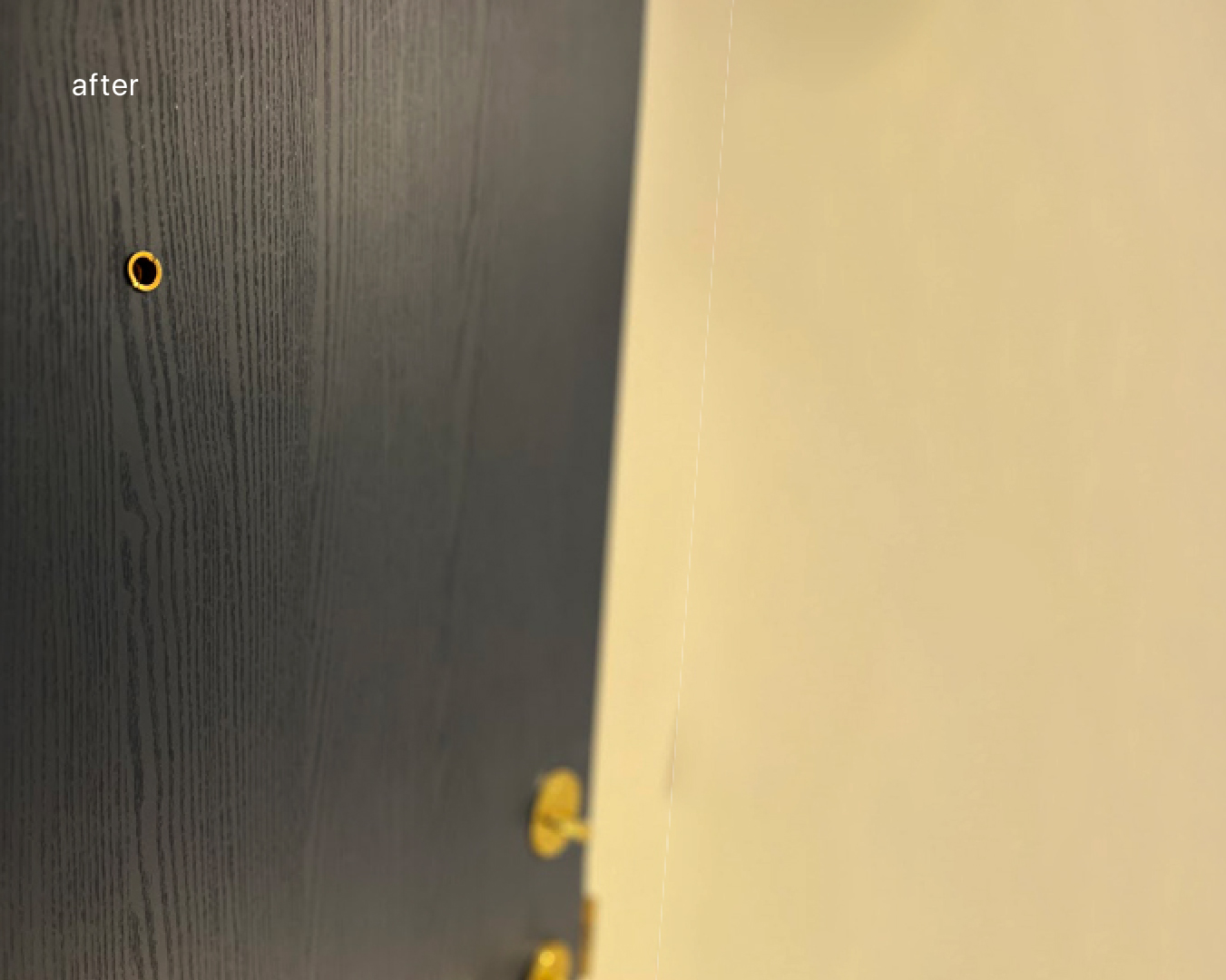 After: Navy Blue Entry Door Resurface