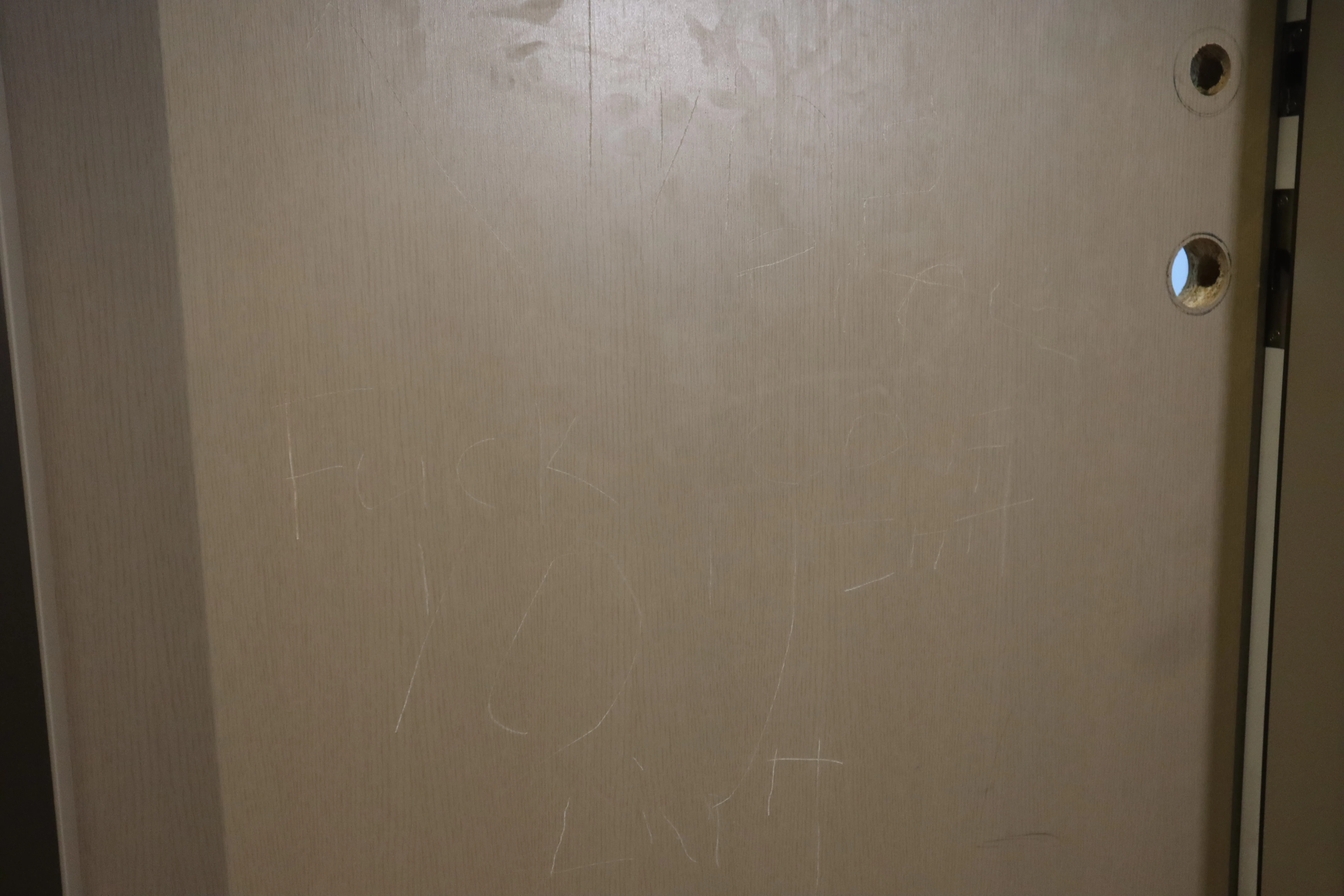 BEFORE: Sratched and Damaged Condo Door